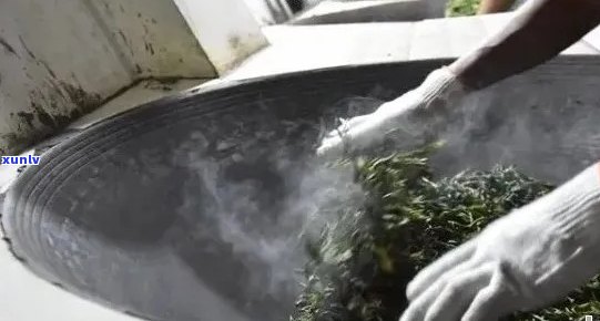 普洱茶杀青30分后的口感和安全性：能否继续饮用？