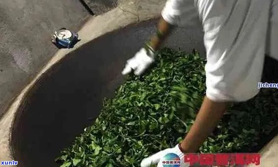 普洱茶杀青的程度：掌握火候与时间的关键