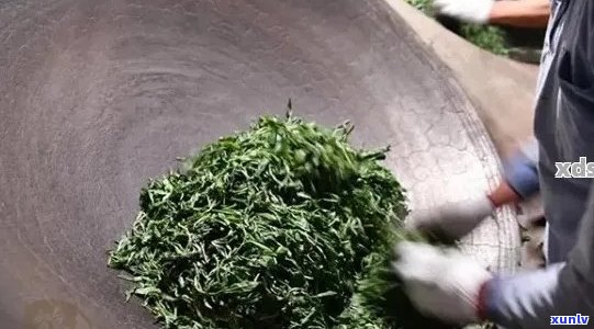 普洱茶杀青的程度：掌握火候与时间的关键