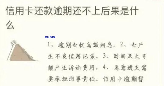 信用卡逾期六个月后如何申请期还款策略与指南