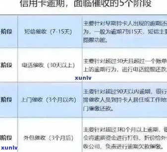 信用卡逾期半年后申请被拒：了解原因、解决办法及如何重获信用机会