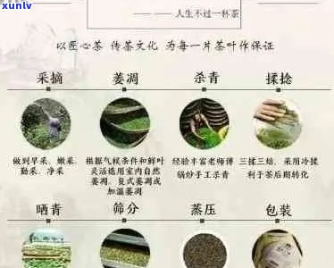 新全面解析花式普洱茶的六大类别及其特点，助您轻松选购与品鉴