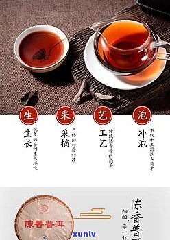 陈香君悦普洱茶卖点