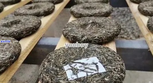 中粮集团茶饼普洱：品种、产地、 *** 工艺、口感及品鉴 *** 全方位解析