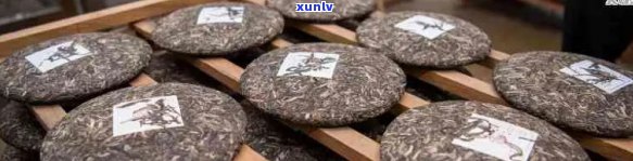 中粮集团茶饼普洱：品种、产地、 *** 工艺、口感及品鉴 *** 全方位解析