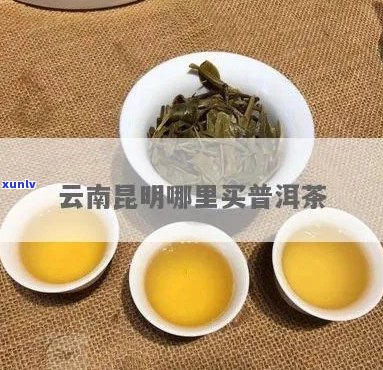 在昆明买普洱茶好去哪里