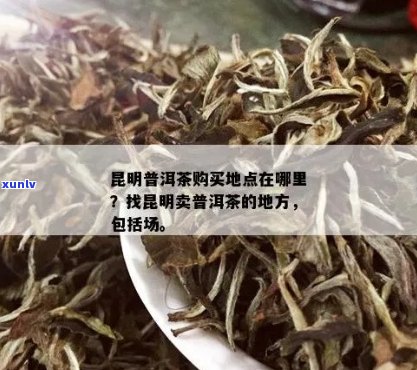 在昆明买普洱茶好去哪里