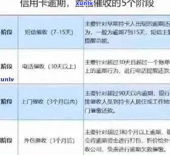 信用卡逾期后的操作步骤与建议：解决流程全解析