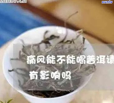 普洱茶是否具有治疗痛风的功效及其科学依据探讨