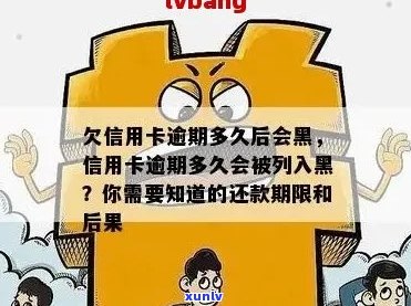 信用卡逾期后多久会被列入黑名单的精确解析