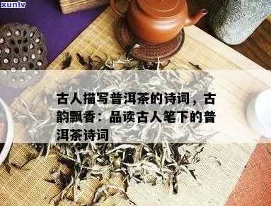 关于普洱茶茶的诗句佳句大全摘抄：普洱茶香满溢，古诗佳句传千古。