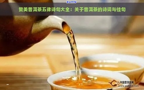 关于普洱茶茶的诗句佳句大全摘抄：普洱茶香满溢，古诗佳句传千古。