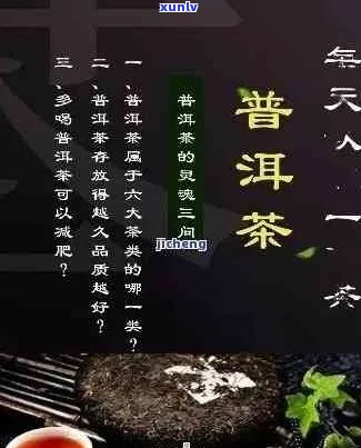 关于普洱茶茶的诗句佳句大全摘抄：普洱茶香满溢，古诗佳句传千古。