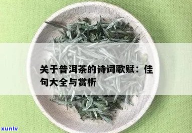 关于普洱茶茶的诗句佳句大全摘抄：普洱茶香满溢，古诗佳句传千古。