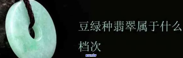 翡翠豆种的特征、生长环境及鉴赏 *** 全面解析，了解这一珍贵品种的必备知识