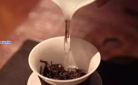 '普洱茶的冲泡与品饮艺术：泡茶前需要清洗吗？ '