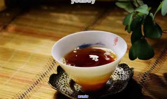 '普洱茶的冲泡与品饮艺术：泡茶前需要清洗吗？ '