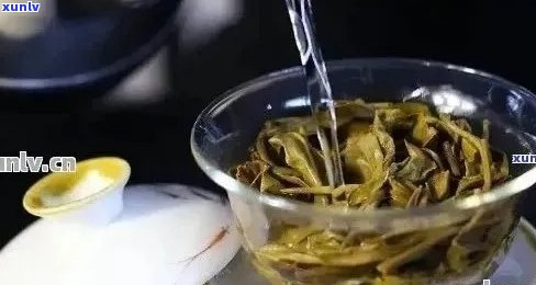 普洱茶的理想泡法：使用水，探究其独特魅力与口感