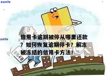 信用卡冻结原因揭秘：信用逾期是关键，如何解冻恢复正常使用？