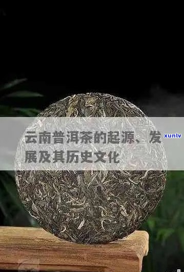 云南普洱茶来源及历：探究普洱茶的起源与发展