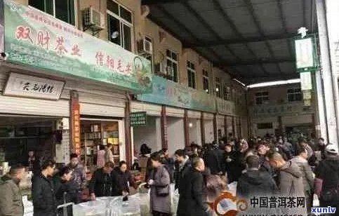 新乡茶叶场排名榜前十，了解行业领军者