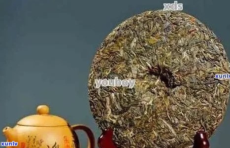 探秘普洱茶：黄金比例冲泡茶水比解析