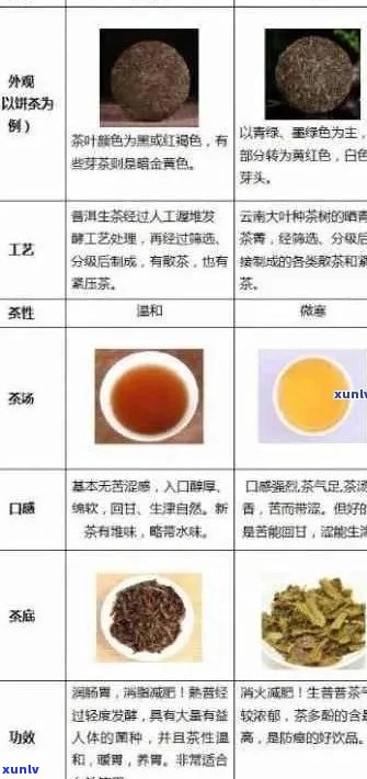 探秘普洱茶：黄金比例冲泡茶水比解析