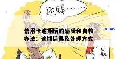 信用卡逾期什么回款方式，自救办法