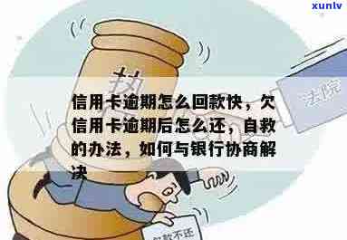 信用卡逾期什么回款方式，自救办法