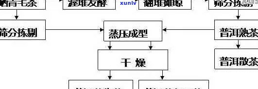 探究普洱茶深加工工艺：从原料到成品的全过程解析