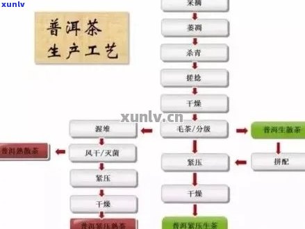 探究普洱茶深加工工艺：从原料到成品的全过程解析