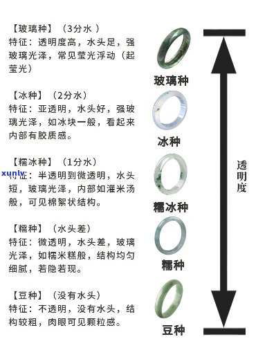 探究翡翠种和水的重要性及其在珠宝界的影响