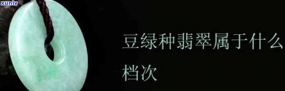 翡翠豆种是否有价值：详解其价值与外观特征，以及级别评定。