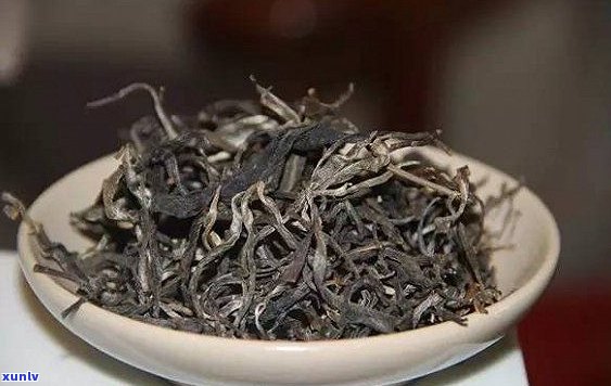 易武茶区：普洱茶的魅力、品质与种类详解