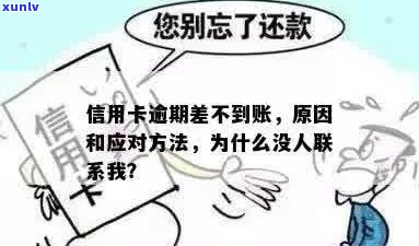 为什么信用卡逾期了没人联系我：揭秘信用卡逾期策略变化