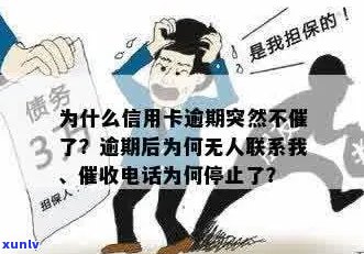 为什么信用卡逾期了没人联系我：揭秘信用卡逾期策略变化