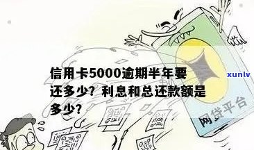 信用卡5000逾期还款，这5个步骤助你解决问题！