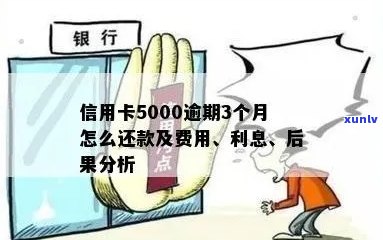 信用卡5000逾期还款，这5个步骤助你解决问题！