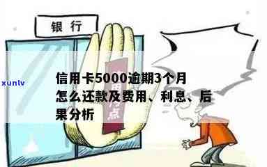 逾期一年后的信用卡欠款：5000元额度需要偿还多少费用？详细解释与计算 *** 