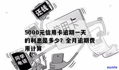 逾期一年后的信用卡欠款：5000元额度需要偿还多少费用？详细解释与计算 *** 