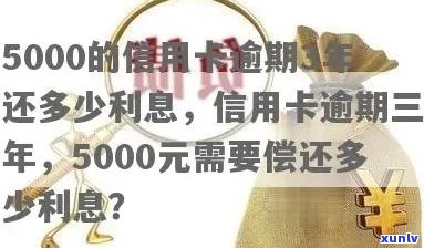 5000元额度信用卡逾期