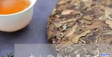 血脂高能喝普洱茶么