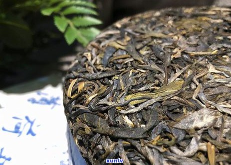 血脂高能喝普洱茶么