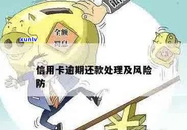 信用卡逾期还款：风险与应对策略，如何从中获得收益？