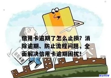 信用卡逾期问题搞得头疼