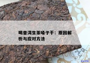 普洱茶饮用后喉咙干燥的探讨及解决方案