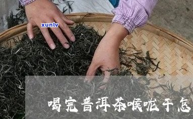 普洱茶饮用后喉咙干燥的探讨及解决方案