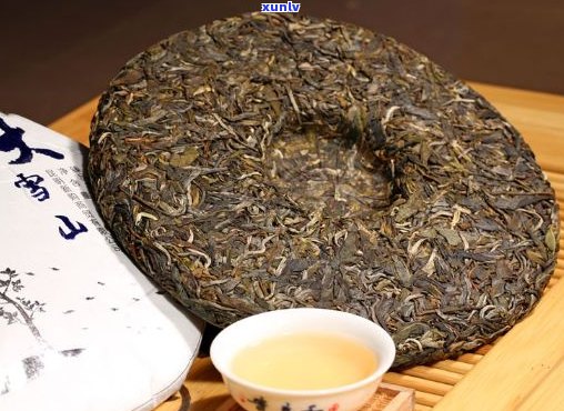 2013年，大雪山老树茶，357克，珍稀品种，高海拔生态种植，市场价格分析