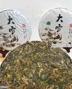 2013年，大雪山老树茶，357克，珍稀品种，高海拔生态种植，市场价格分析