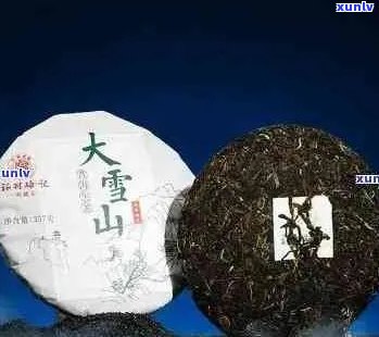 探寻大雪山普洱茶的独特魅力与健益处：一种新的视角